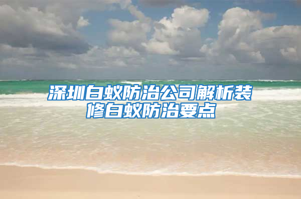 深圳白蟻防治公司解析裝修白蟻防治要點