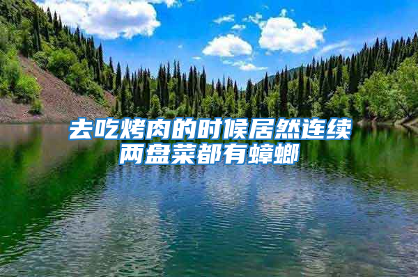 去吃烤肉的時(shí)候居然連續(xù)兩盤(pán)菜都有蟑螂