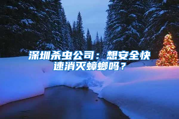 深圳殺蟲公司：想安全快速消滅蟑螂嗎？
