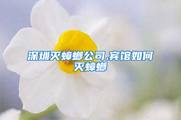 深圳滅蟑螂公司,賓館如何滅蟑螂