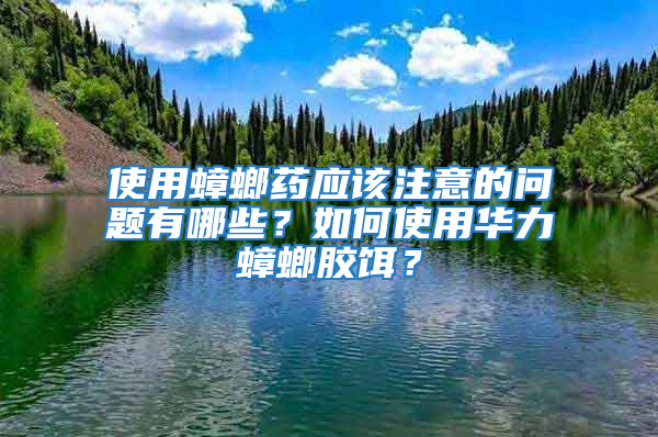 使用蟑螂藥應該注意的問題有哪些？如何使用華力蟑螂膠餌？