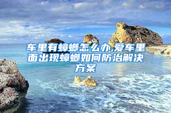 車?yán)镉畜朐趺崔k,愛車?yán)锩娉霈F(xiàn)蟑螂如何防治解決方案
