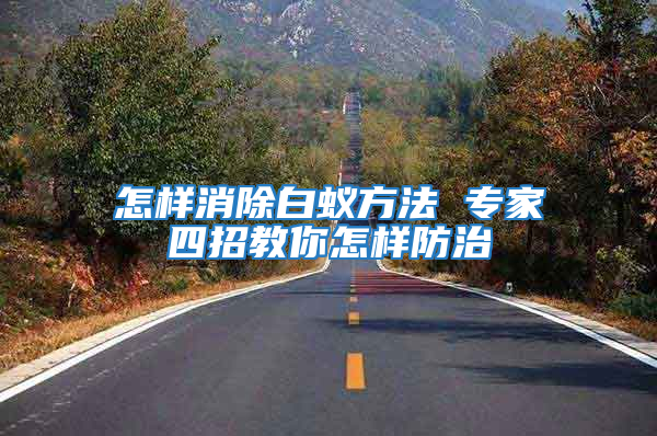 怎樣消除白蟻方法 專家四招教你怎樣防治