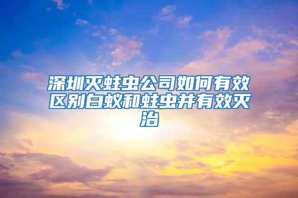 深圳滅蛀蟲公司如何有效區別白蟻和蛀蟲并有效滅治