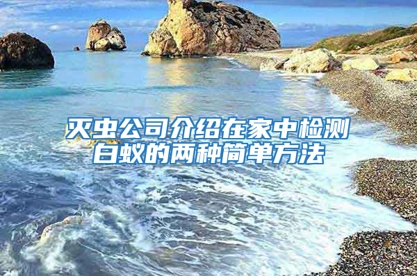 滅蟲公司介紹在家中檢測白蟻的兩種簡單方法