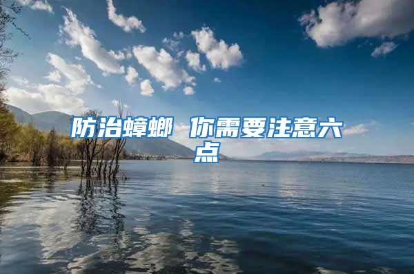 防治蟑螂 你需要注意六點