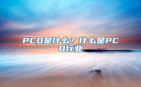 PCO是什么？什么是PCO行業(yè)